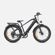 ENGWE E26 električni bicikl 26" 250W 16Ah, sivi